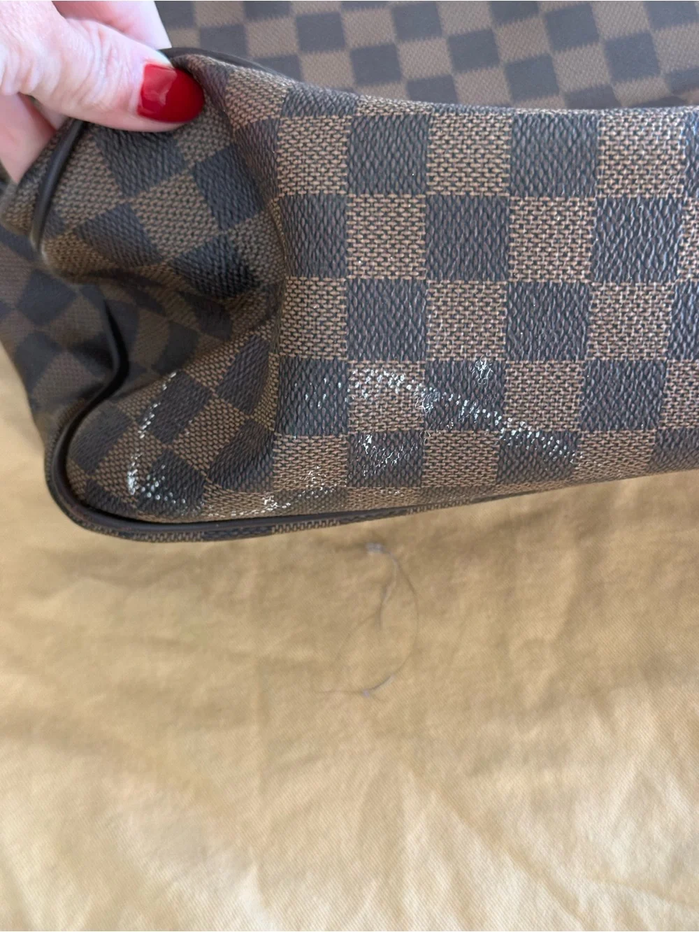 Louis Vuitton Damier Ebene Check Hobo with Gold-Tone Accent